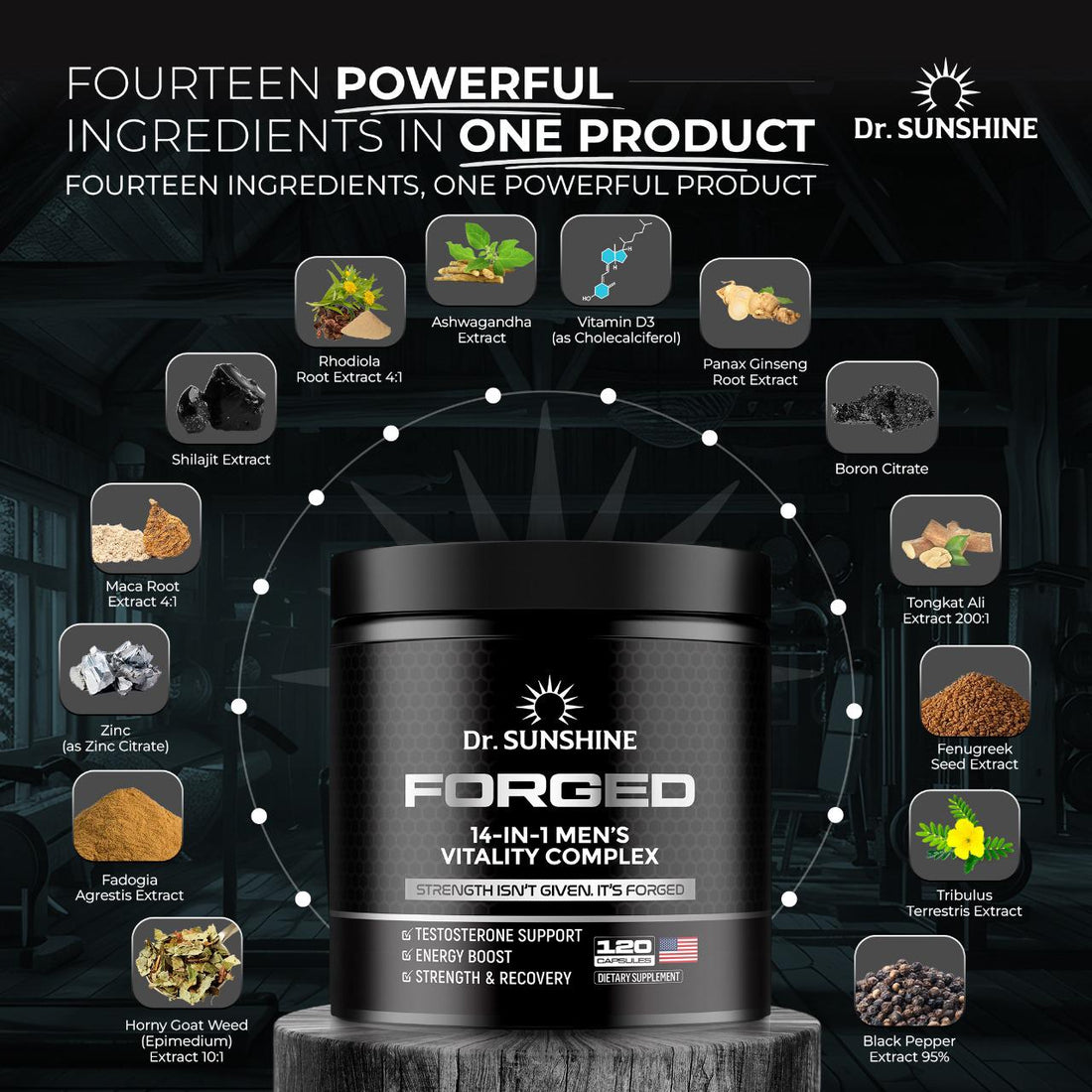 Forged 14 in 1 Men's Vitality Complex, Energy & Focus Support, Strength, & Recovery | 120 Capsules